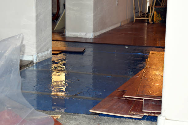 Professional Basement Flood Cleanup technician working in South Elgin, IL